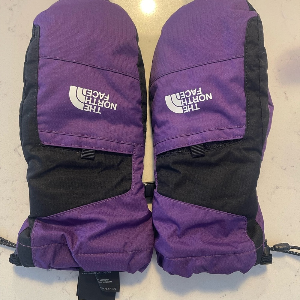 The North Face Violet and Black Winter Mittens
